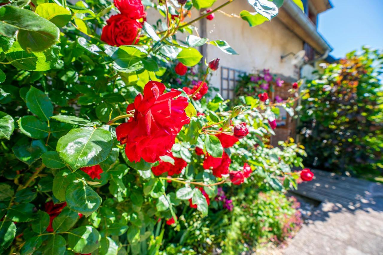 Chambre D'Hotes - Le Jardin Des Patissons La Foret Du Parc エクステリア 写真