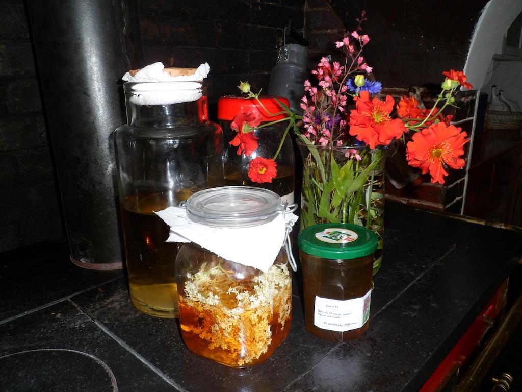 Chambre D'Hotes - Le Jardin Des Patissons La Foret Du Parc エクステリア 写真
