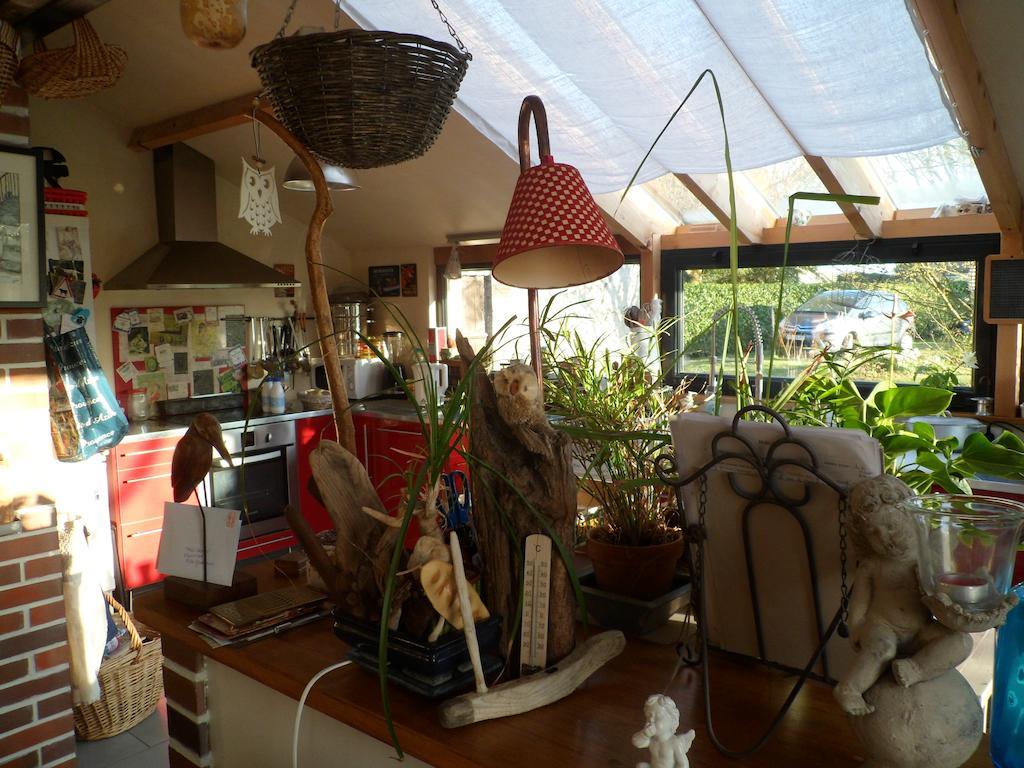 Chambre D'Hotes - Le Jardin Des Patissons La Foret Du Parc エクステリア 写真